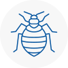 Bed Bug Extermination In Heswall