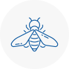 Bee Nest Removal Heswall