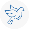 Bird Prevention Heswall