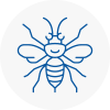 Heswall Hornet Nest Removals