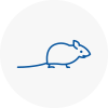 Mice Exterminators In Heswall