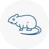 Rat Control Heswall