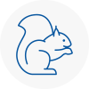 Heswall Rodent Removals