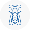 Heswall Wasp Nest Removal